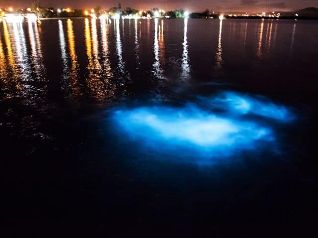 Luminous glittering water