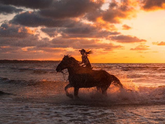 Horse riding on the beach