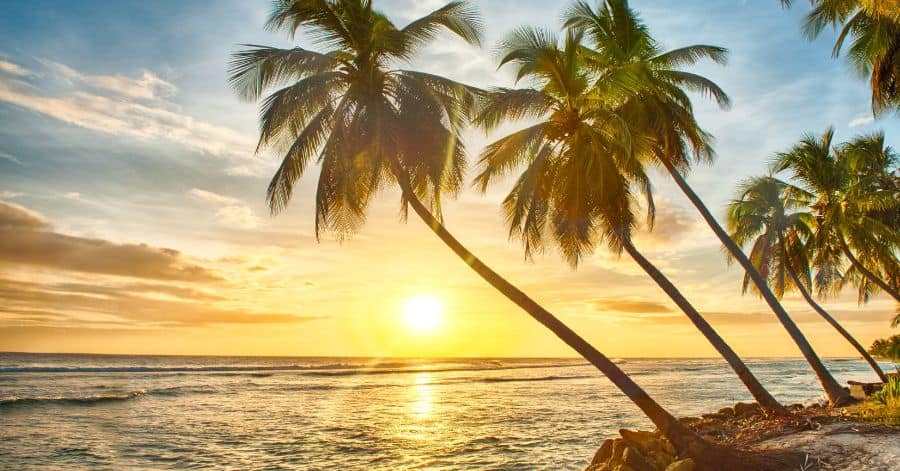 10 Best Hotel Resorts in Barbados for Couples - TourTeller Blog