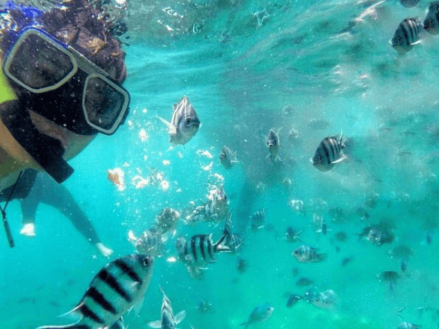 Snorkeling and diving in Langkawi