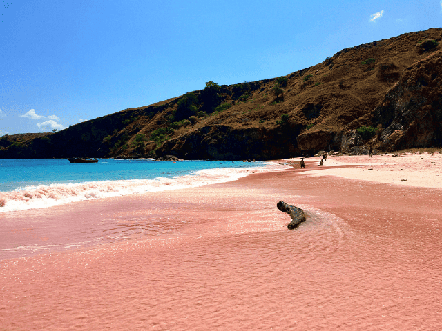 Pink beach - one of the best thing to do in Komodo National Park