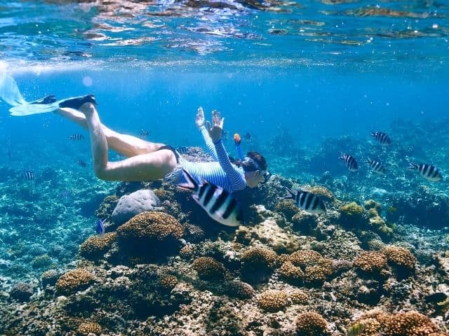 Snorkeling in El Nido