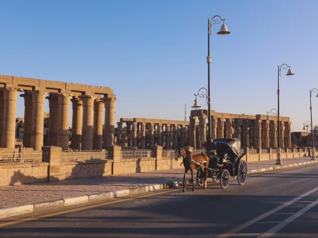 A picture of a man driving a horse carriage through the streets of Luxor in Egypt.