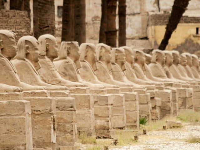 A picture of the Sphinx Avenue in Luxor, Egypt.