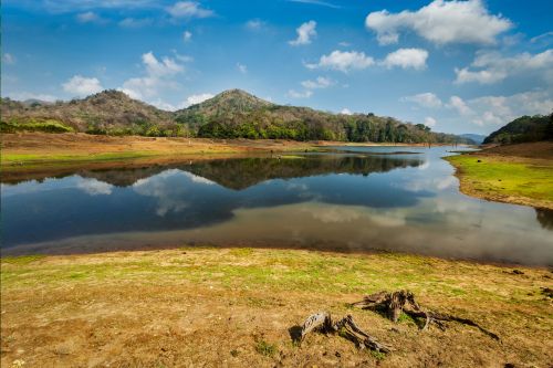 A picture of Periyar lake in Periyar Wildlife Sanctuary in Kerala, India.