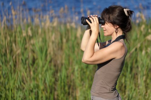 A picture of a woman watching wildlife in a swamp by using binoculars.