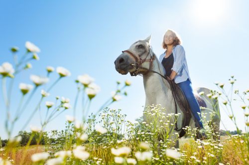 Aruba Horseriding