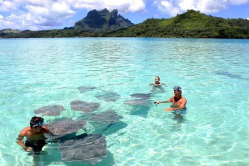 Bora Bora Lagoonarium