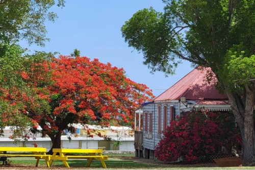 Estate Whim Plantation Museum