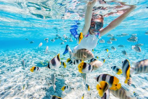 Oranjestad Snorkeling