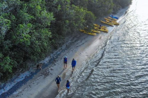 Kayak the Salt River Bay