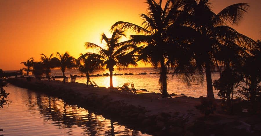 Things to do in Aruba at night