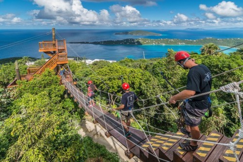 Tree Limin' Extreme Zipline