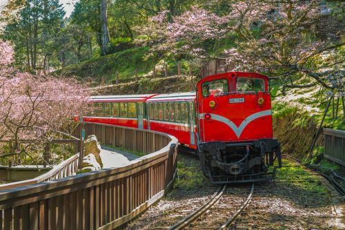 Alishan National Scenic Area