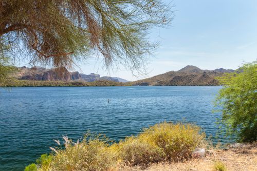 Saguaro Lake