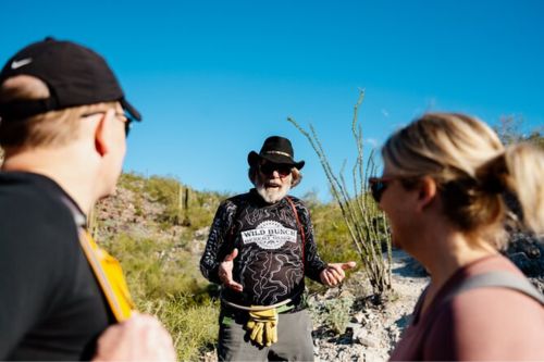 Sonoran Desert Solo Half-Day Hike