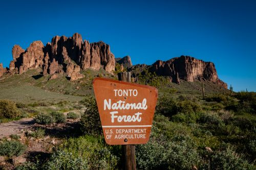 Tonto National Forest