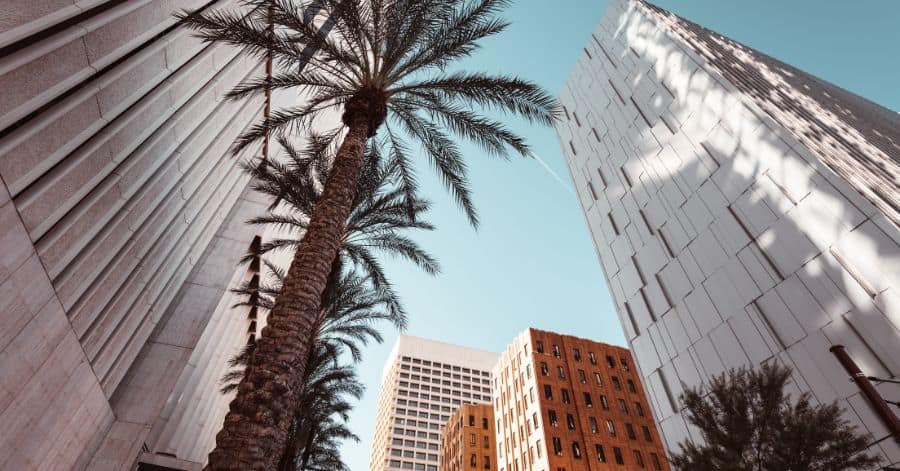 Top Things to do in Downtown Phoenix