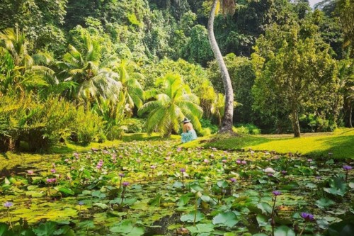  Vaipahi Gardens