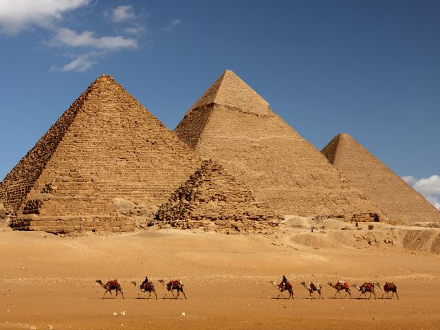 A picture of the Pyramids in Egypt with camels walking in front of them.