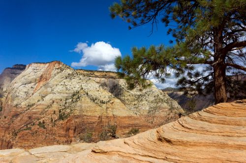 zion canyon