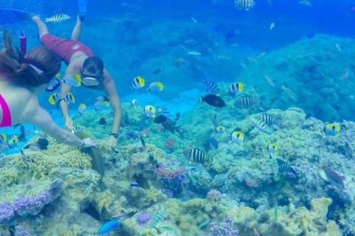 Bora Bora Lagoon Cruise