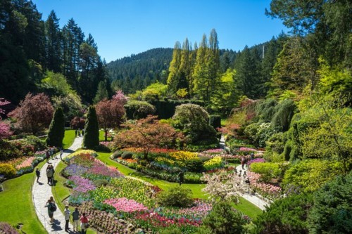 Butchart Gardens and Victoria Sightseeing Tour 