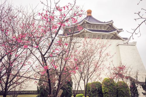 Taipei In Spring