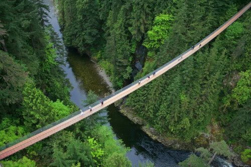 Capilano Suspension Bridge Park