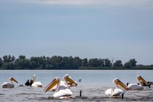 Danube Delta - 2-Day Tour from Bucharest