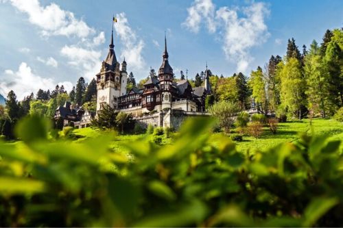 Peles & Cantacuzino Castles Gourmet Wine & Cultural Day Trip