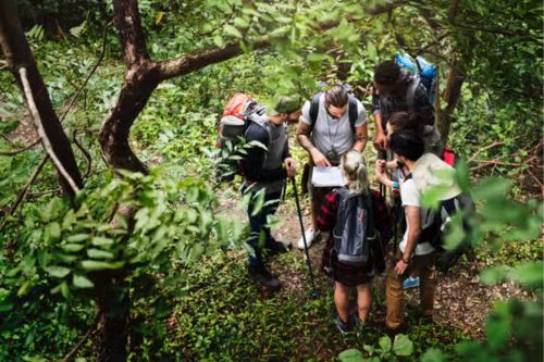 Atlantic Forest & Fazenda Maravilha Private Hike