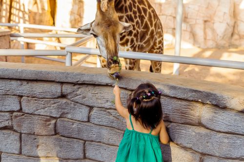 Emirates Park Zoo