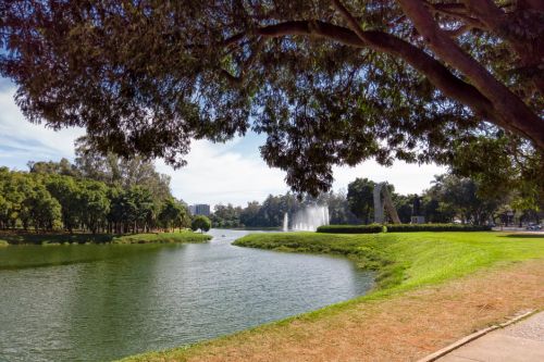 Ibirapuera Park