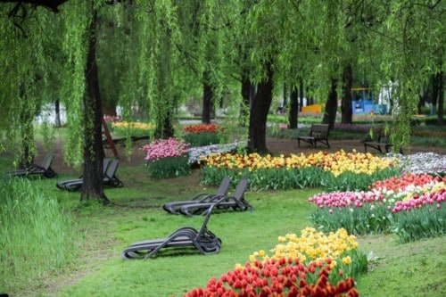 Ilsan Lake Park Seoul