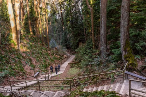 Pacific Spirit Regional Park