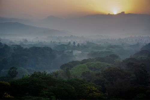 Sanjay Gandhi National Park