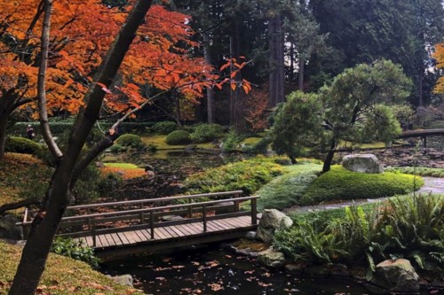 UBC Botanical Garden