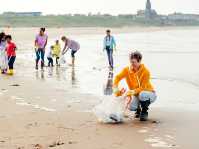 A picture of a group of people cleaning up a beach.