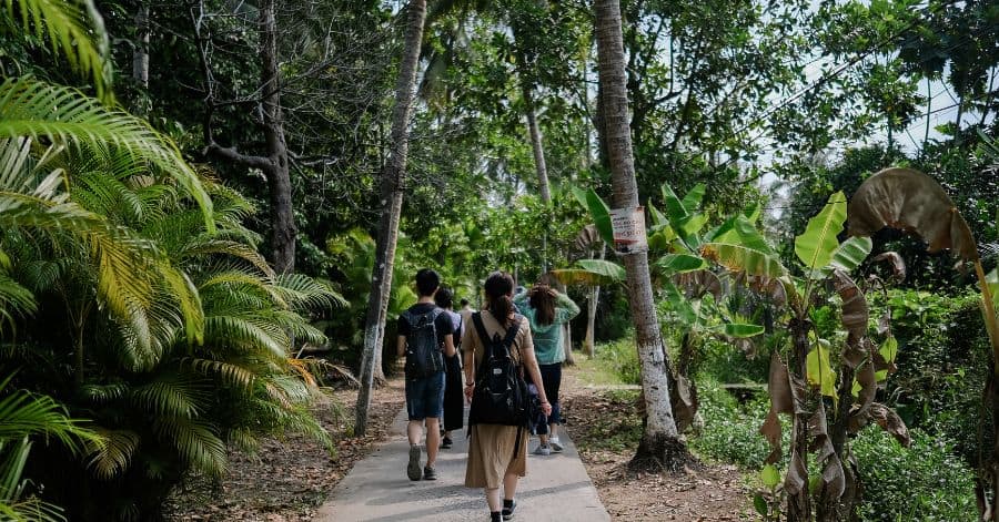 A picture of a group of people walking in a forest.