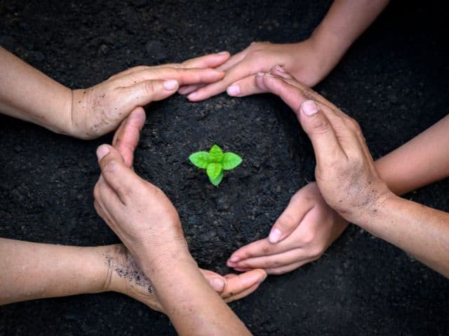 A picture of three pairs of hands protecting a plant in soil.