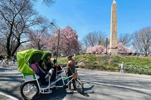 Central Park Pedicab Guided Tours