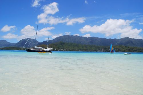 Kaneohe Sandbar