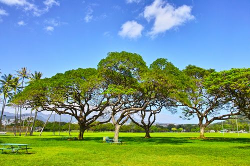 Kapiolani Park