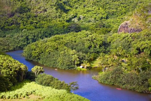 From Oahu: Kauai Waimea Canyon & Wailua River Tour