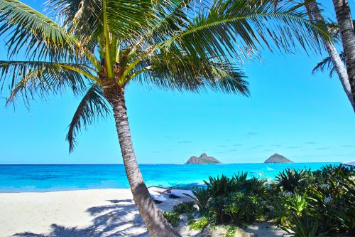 Lanikai Beach