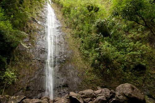 Manoa Falls