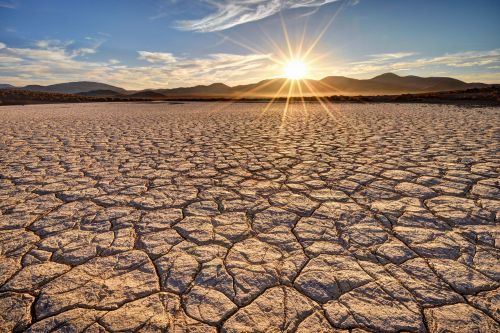 Mojave Desert