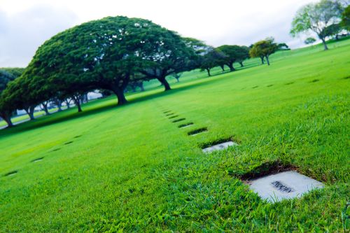 National Memorial Cemetery of the Pacific