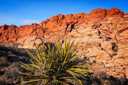 Red Rock Canyon